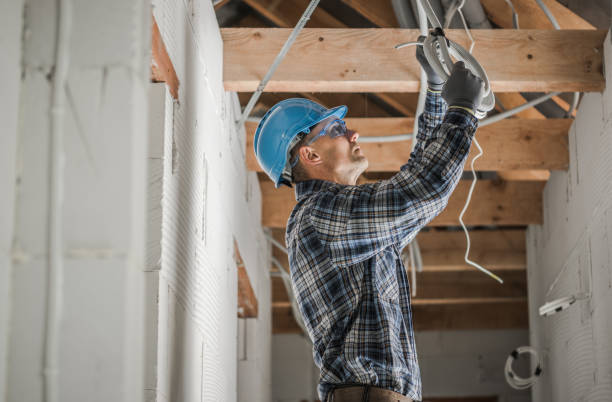 Best Electric Panel Repair  in Homestead, PA