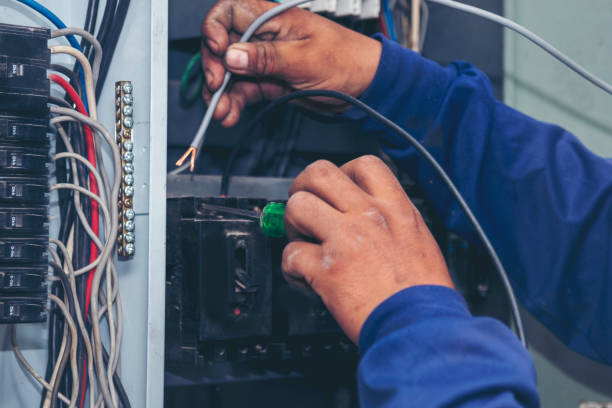 Best Ceiling Fan Installation Electrician  in Homestead, PA